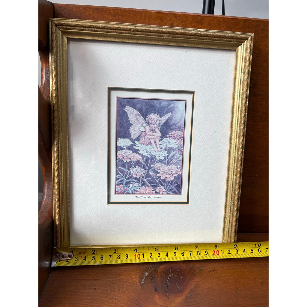 "The Candytuft Fairy" Framed Vintage Print