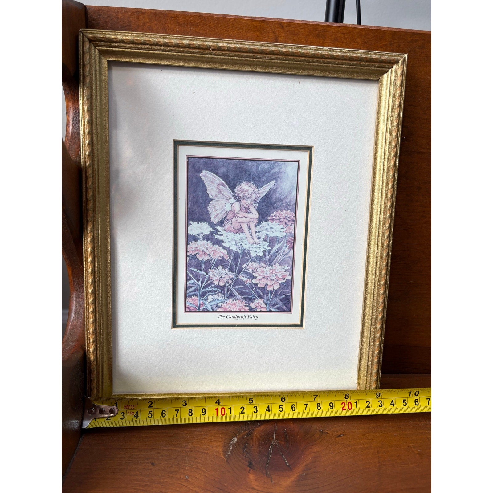 "The Candytuft Fairy" Framed Vintage Print