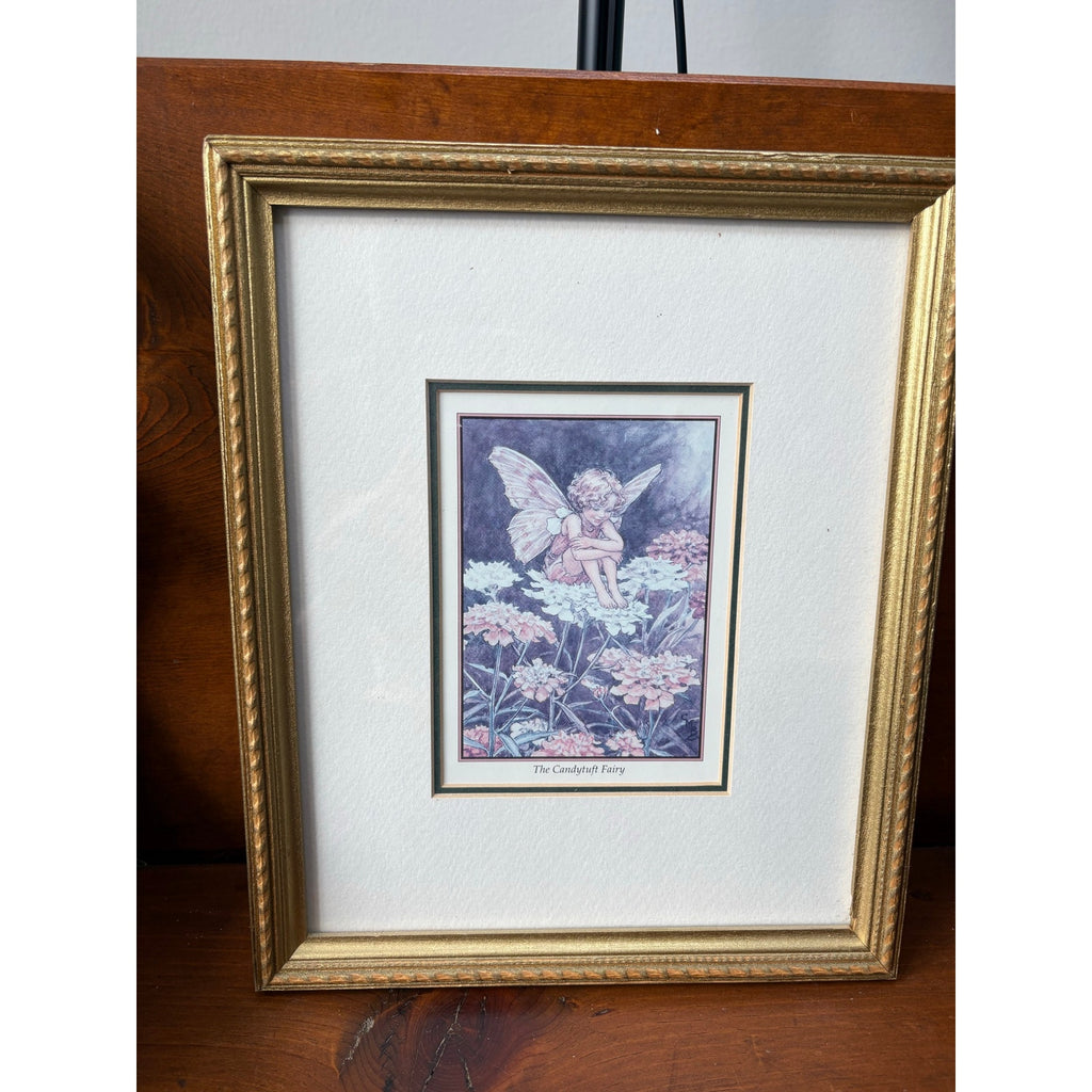 "The Candytuft Fairy" Framed Vintage Print