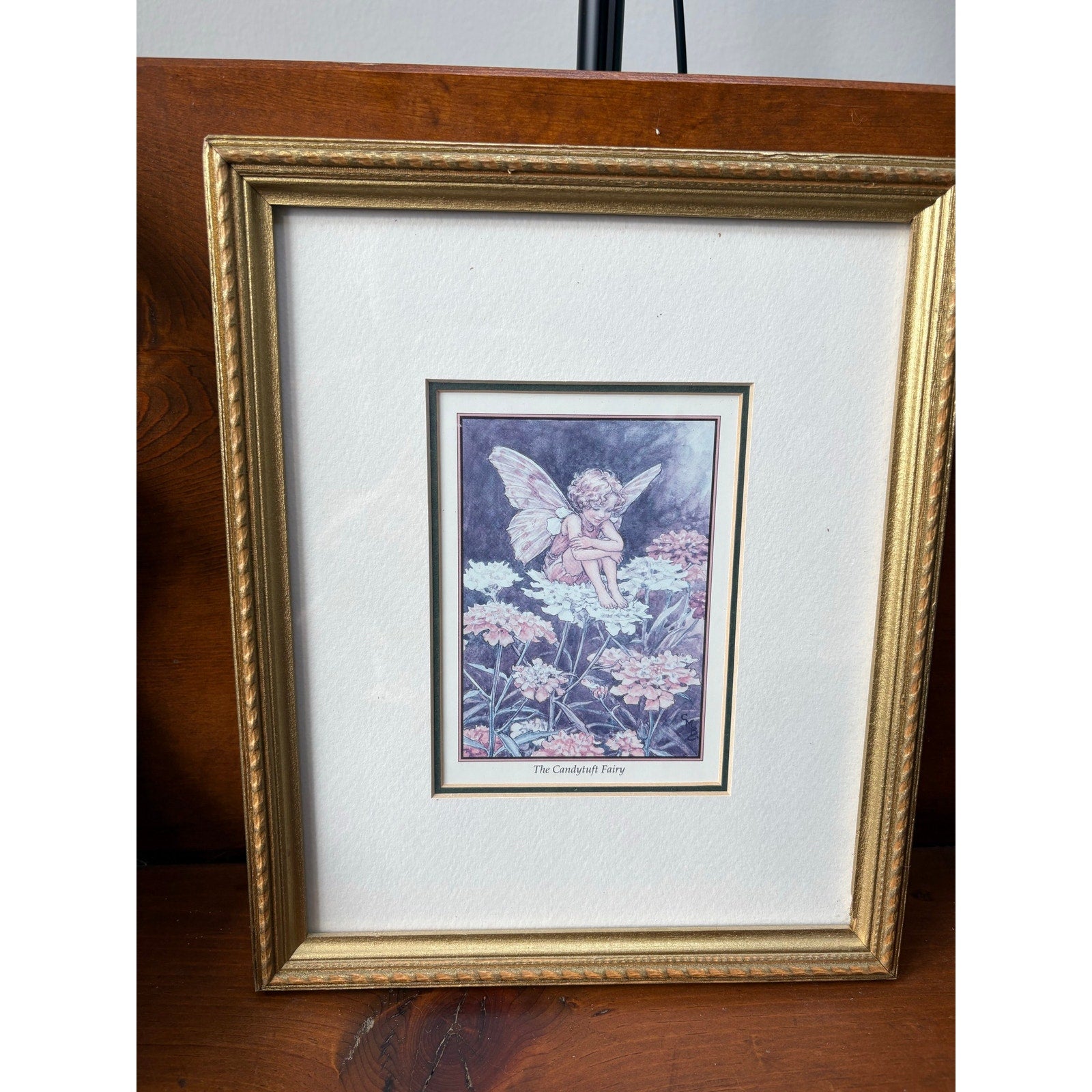 "The Candytuft Fairy" Framed Vintage Print