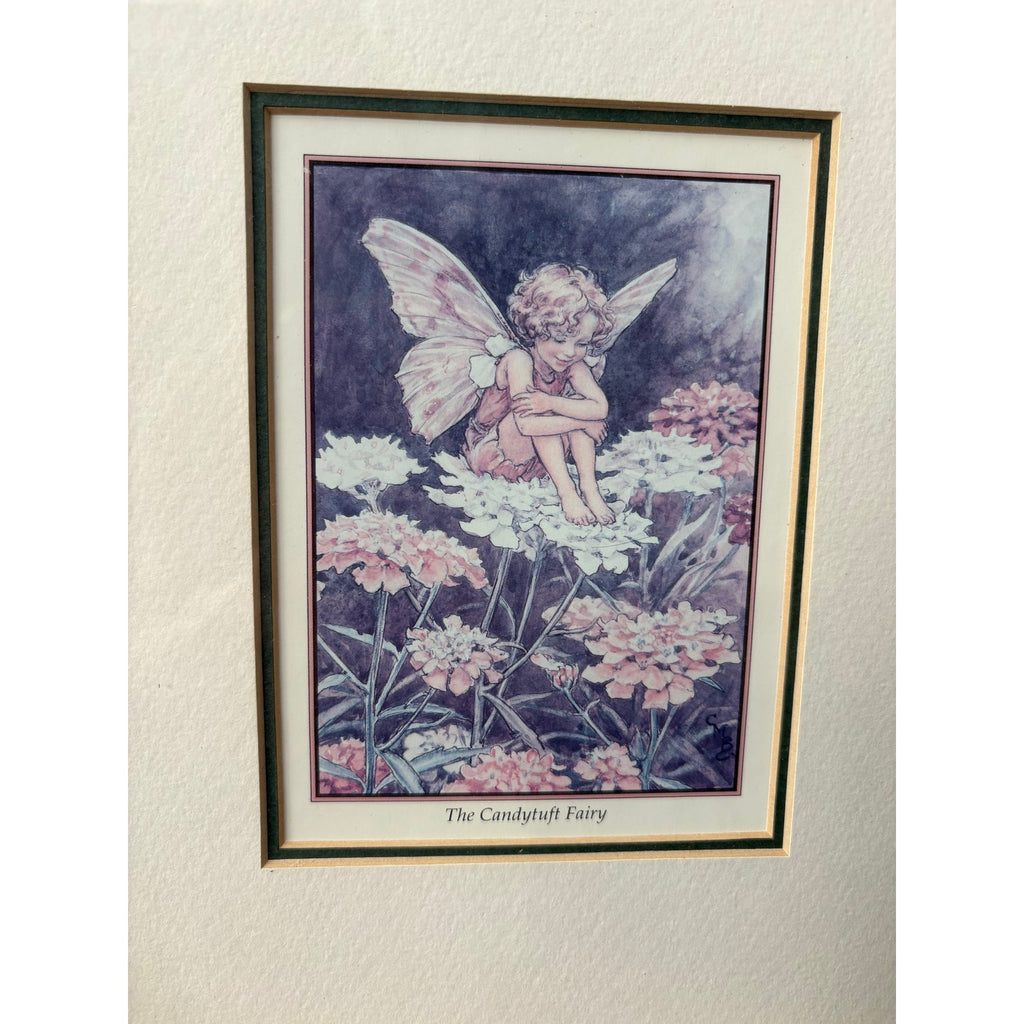 "The Candytuft Fairy" Framed Vintage Print