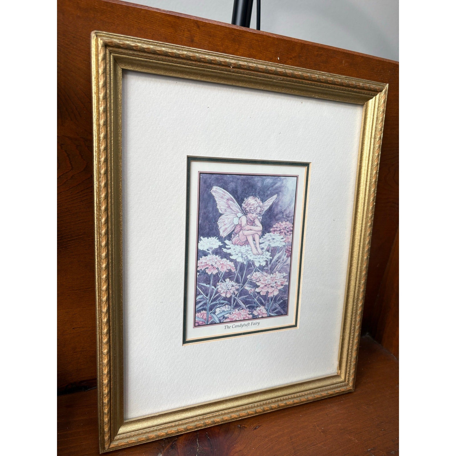 "The Candytuft Fairy" Framed Vintage Print