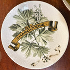 Vintage, decorative Pottery Barn plate with leaf design , crackled glaze, and 'Charcuterie' text on a wooden surface